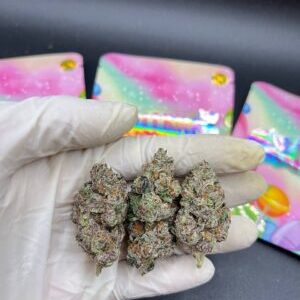 Buy THC cannabis Amsterdam, order marijuana vape carts Grootebroek, THC oil in Badhoevedorp, weed THC gummies Blaricum, THC vape juice buy Uitgeest