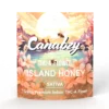 Sativa THC-A Flower – 7 Grams – Island Honey