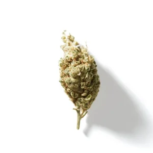 Cannablis Cinnamon Kush HHC Flower