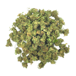 Cannabis buds from Forbidden V Smalls with high cannabinoid content.