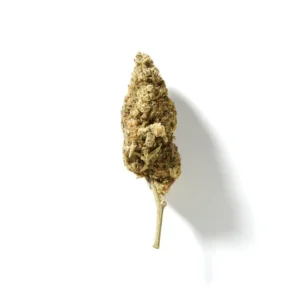 Cannablis Wagyu Class HHC Flower
