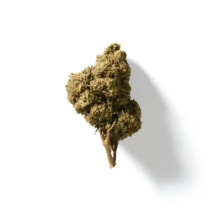 Cannablis Platinum Jack HHC Flower
