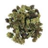 Close-up of Legendary OG Smalls indica cannabis buds for sale.
