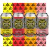 Cannabis seltzer cans with lemon, cherry, mango, and peach flavors on colorful background.