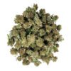 Close-up of Pineapple Kush small cannabis buds with orange hairs and frosty trichomes.
