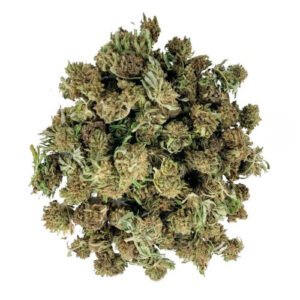 Close-up of Pineapple Kush small cannabis buds with orange hairs and frosty trichomes.