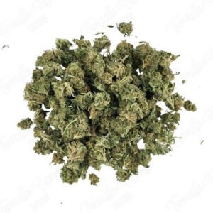 High-quality cannabis buds from Cannablisshop Europe for hybrid strains.