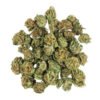 High-quality cannabis buds from Cannablisshop Europe for medicinal use.