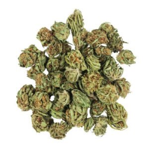 High-quality cannabis buds from Cannablisshop Europe for medicinal use.