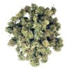 High-quality cannabis buds from Cannablisshop Europe for premium cannabis experience.